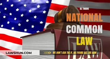Common Law: National or Regional?