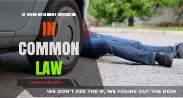 Homicide and Common Law: Negligence or Murder?