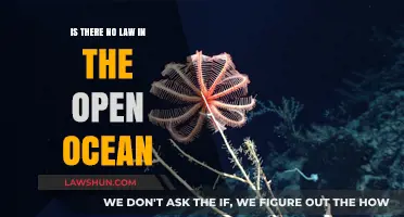Lawless Waters: Exploring Legal Boundaries in the Open Ocean