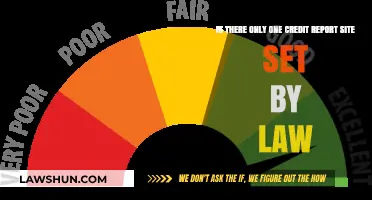 Is There a Single Legally Mandated Credit Report Site?