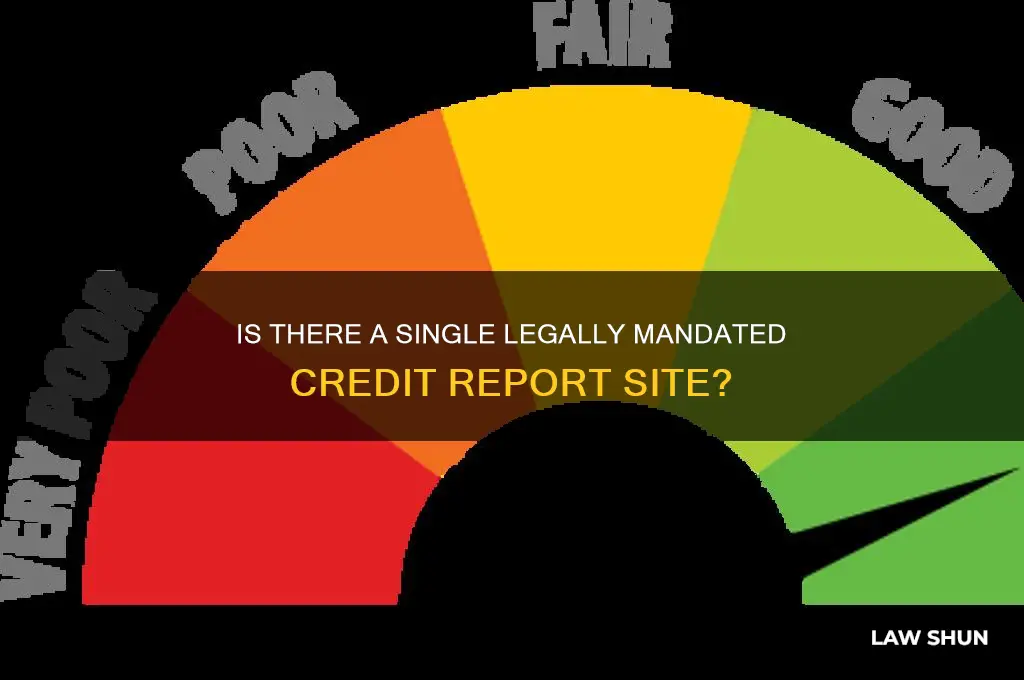 is there only one credit report site set by law