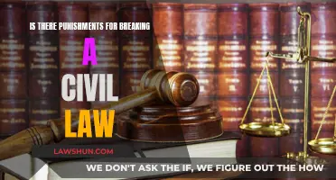 Civil Law Violations: Understanding Punitive Measures