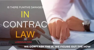 Punitive Damages in Contract Law: When and Why?