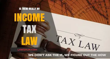 The Myth of No Income Tax Laws