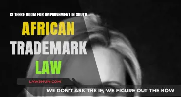 Enhancing South African Trademark Law: Opportunities for Growth and Improvement