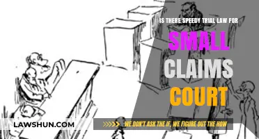 Speedy Trials in Small Claims Court: What You Need to Know