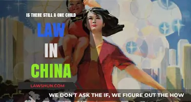 China's One-Child Policy: Current Status and Family Planning Laws