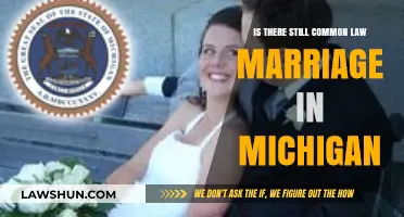 Michigan's Common Law Marriage: Still Recognized?