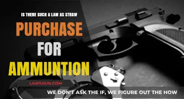 Straw Purchase Laws for Ammunition: What You Need to Know