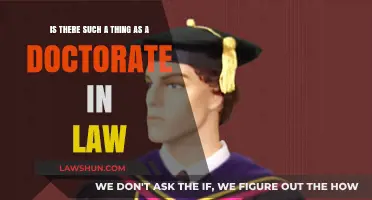 Exploring the Existence of a Doctorate in Law: Fact or Fiction?