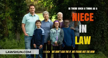 Exploring Family Ties: Understanding the Concept of a Niece-in-Law