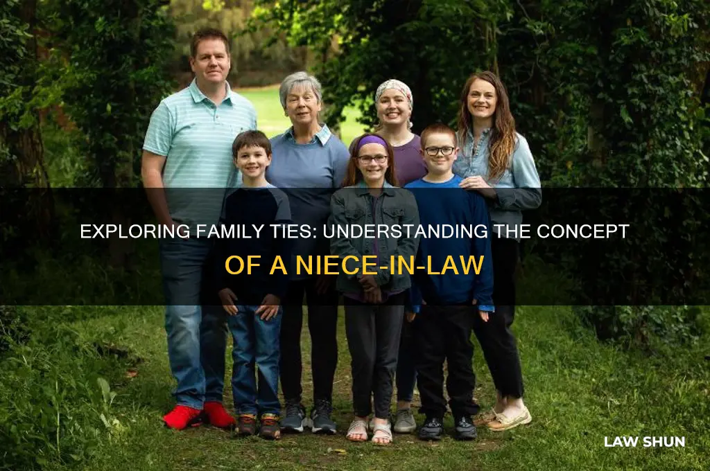 is there such a thing as a niece in law