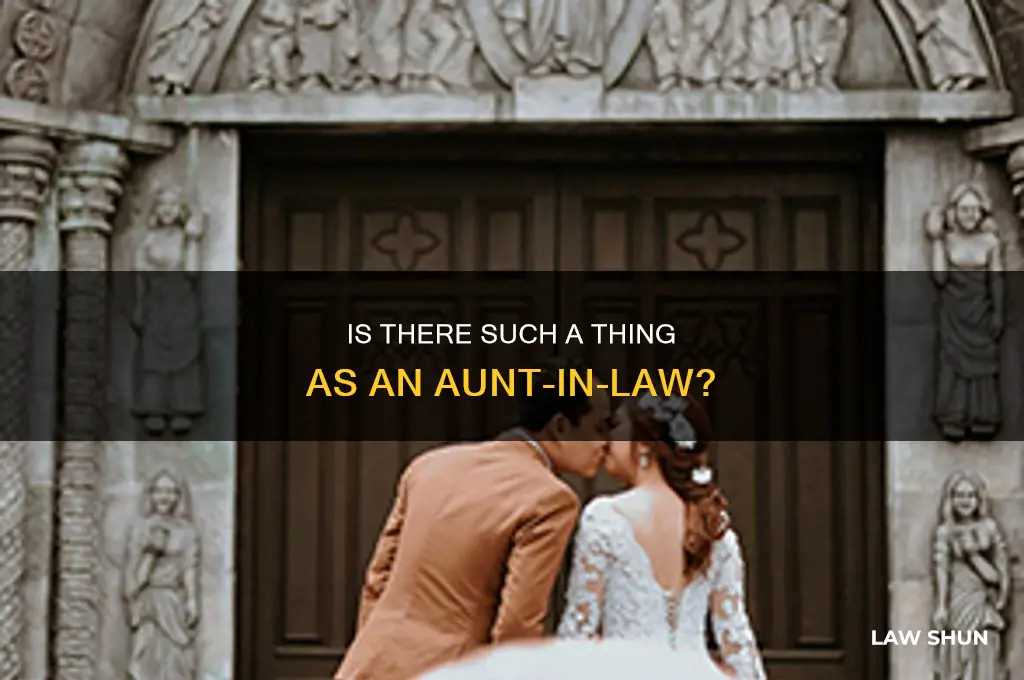 is there such a thing as an aunt in law