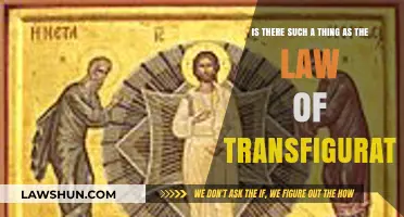 Exploring the Law of Transfiguration: Myth, Magic, or Reality?