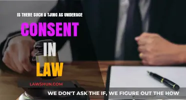 Underage Consent in Law: Understanding Legal Boundaries and Protections