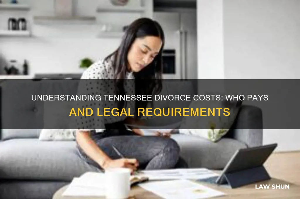 is there tenn law divorce has to be paid for