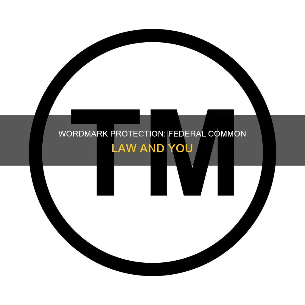 is there wordmark protection under federal common law
