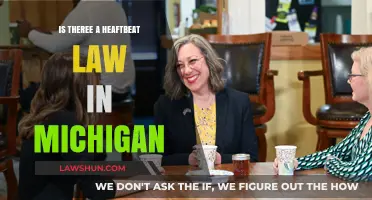 Understanding Michigan's Heartbeat Law: What You Need to Know