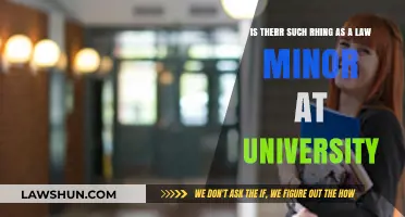 Law Minors: University Options and Opportunities