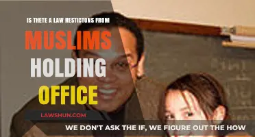 Legal Barriers for Muslims in Political Office: Fact or Fiction?