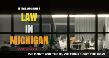 Is Time and a Half Legally Required in Michigan?