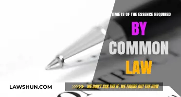 Time is of the Essence: Common Law's Take