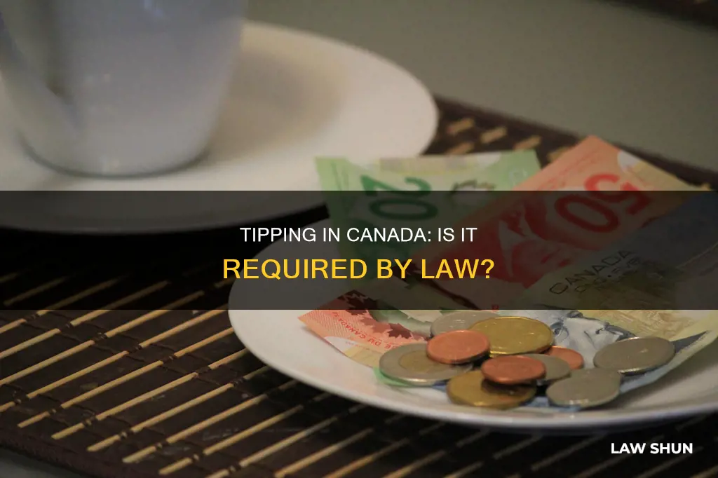 is tipping a law in canada