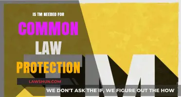 Common Law Protection: Does TM Registration Matter?