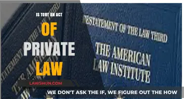 Is Tort an Act of Private Law? Exploring Legal Boundaries
