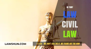 Is Tort Law Civil Law? Understanding Legal Distinctions and Overlaps