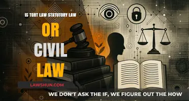 Understanding Tort Law: Statutory or Civil Law Framework Explained