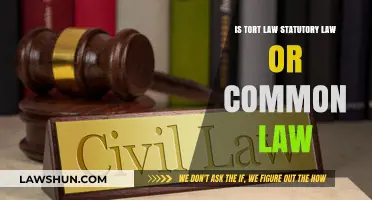 Tort Law: Common or Statutory?