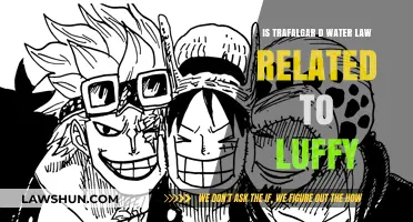 Is Trafalgar D. Water Law an Ally or Rival to Luffy?