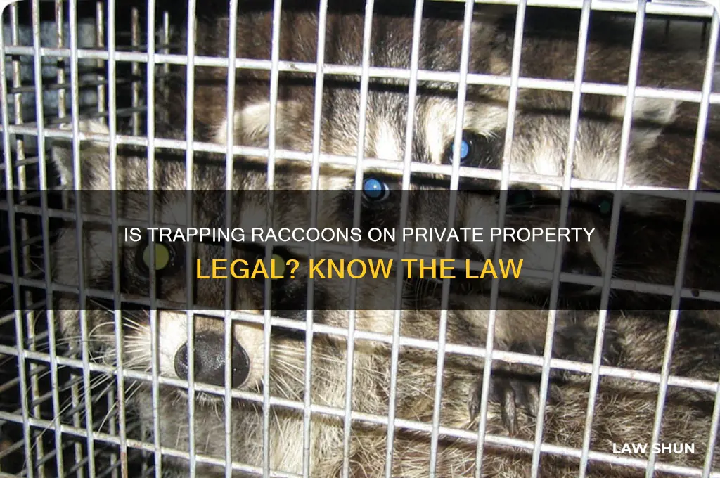 is trapping racoon on private property against the law
