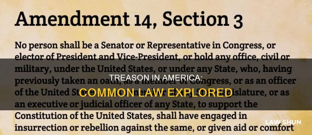 is treason in america common law