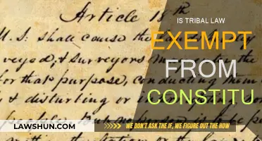 Tribal Law: Exempt from the Constitution?