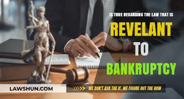 Understanding Bankruptcy Law: Key Facts and Legal Implications Explained