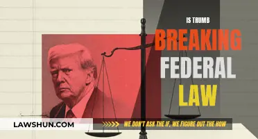 Trump's Law-Breaking: Is He Above Federal Law?