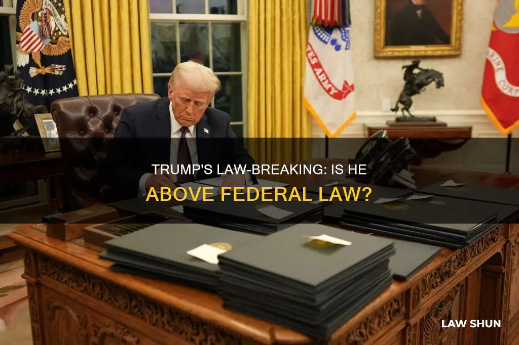 is trumb breaking federal law