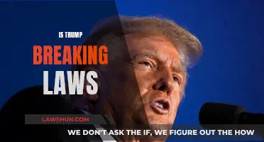 Trump's Legal Woes: Breaking Laws, Breaking America?