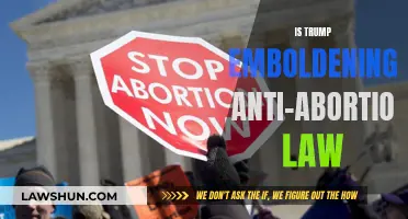 Trump's Influence on Anti-Abortion Laws: A Growing Concern