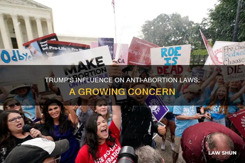 is trump emboldening anti-abortion law