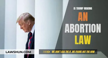 Trump's Abortion Law: What's Next for America?