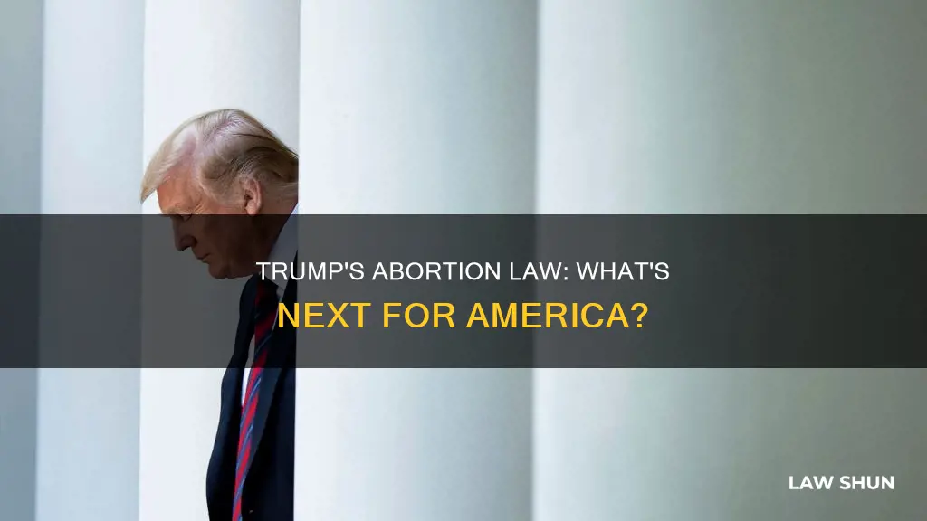 is trump making an abortion law