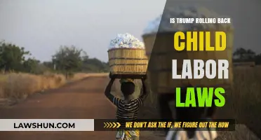 Trump's Policies: Easing Child Labor Laws or Economic Strategy?