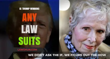 Trump's Legal Battles: Is He Winning Any Lawsuits?