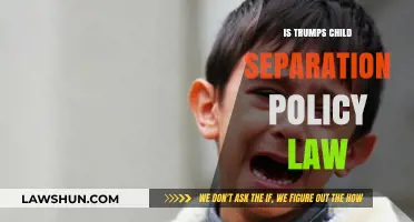 Is Trump's Child Separation Policy Legal? Analyzing the Controversial Immigration Law