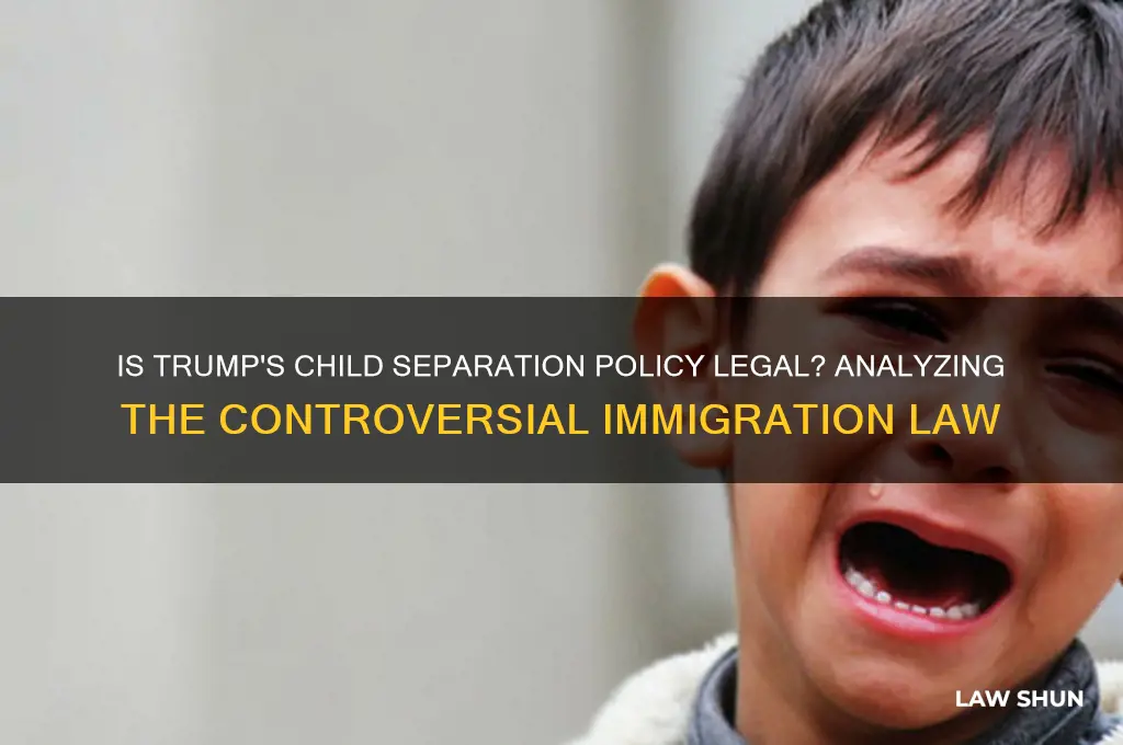 is trumps child separation policy law