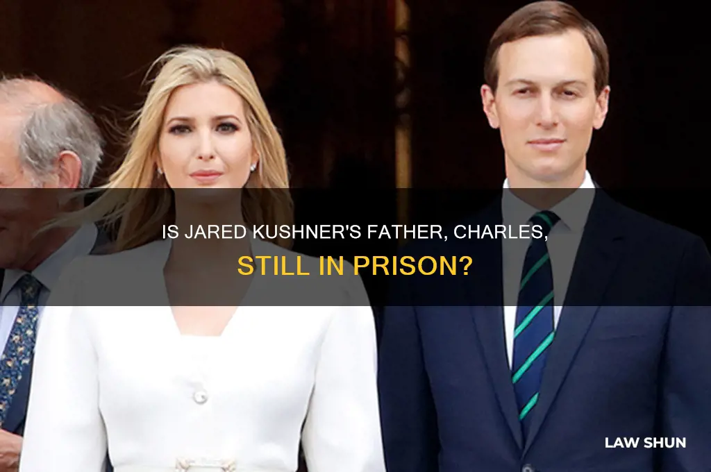 is trump