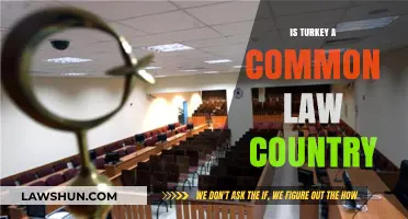 Turkey's Legal System: Common or Civil Law?